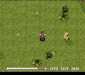 Ys V - Ushinawareta Suna no Miyako Kefin (Japan) screen shot game playing